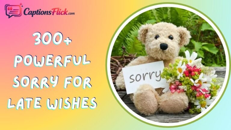 Sorry for Late Wishes